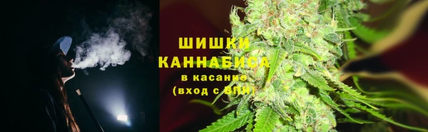 стаф Абдулино