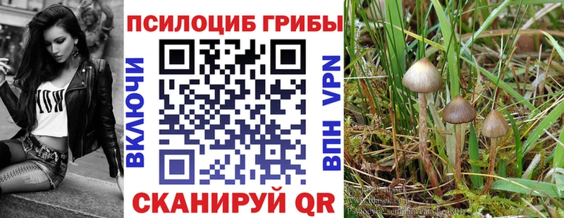 купить наркотики цена  Энгельс  Псилоцибиновые грибы Magic Shrooms 