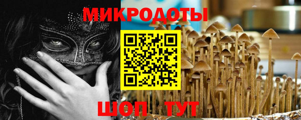 Галлюциногенные грибы MAGIC MUSHROOMS  продажа наркотиков  Энгельс  Вход с VPN  Псилоцибиновые грибы MAGIC MUSHROOMS 