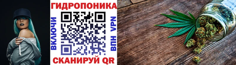 shop официальный сайт  Энгельс  Марихуана сатива  где найти  
